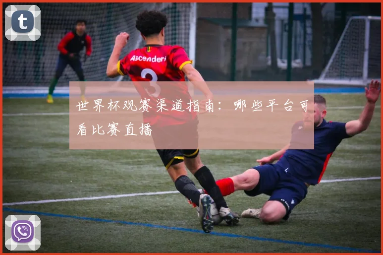 世界杯观赛渠道指南：哪些平台可看比赛直播